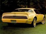 Pontiac Firebird Esprit Yellowbird 1980 года